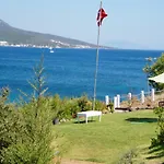 Paradise Bardakci