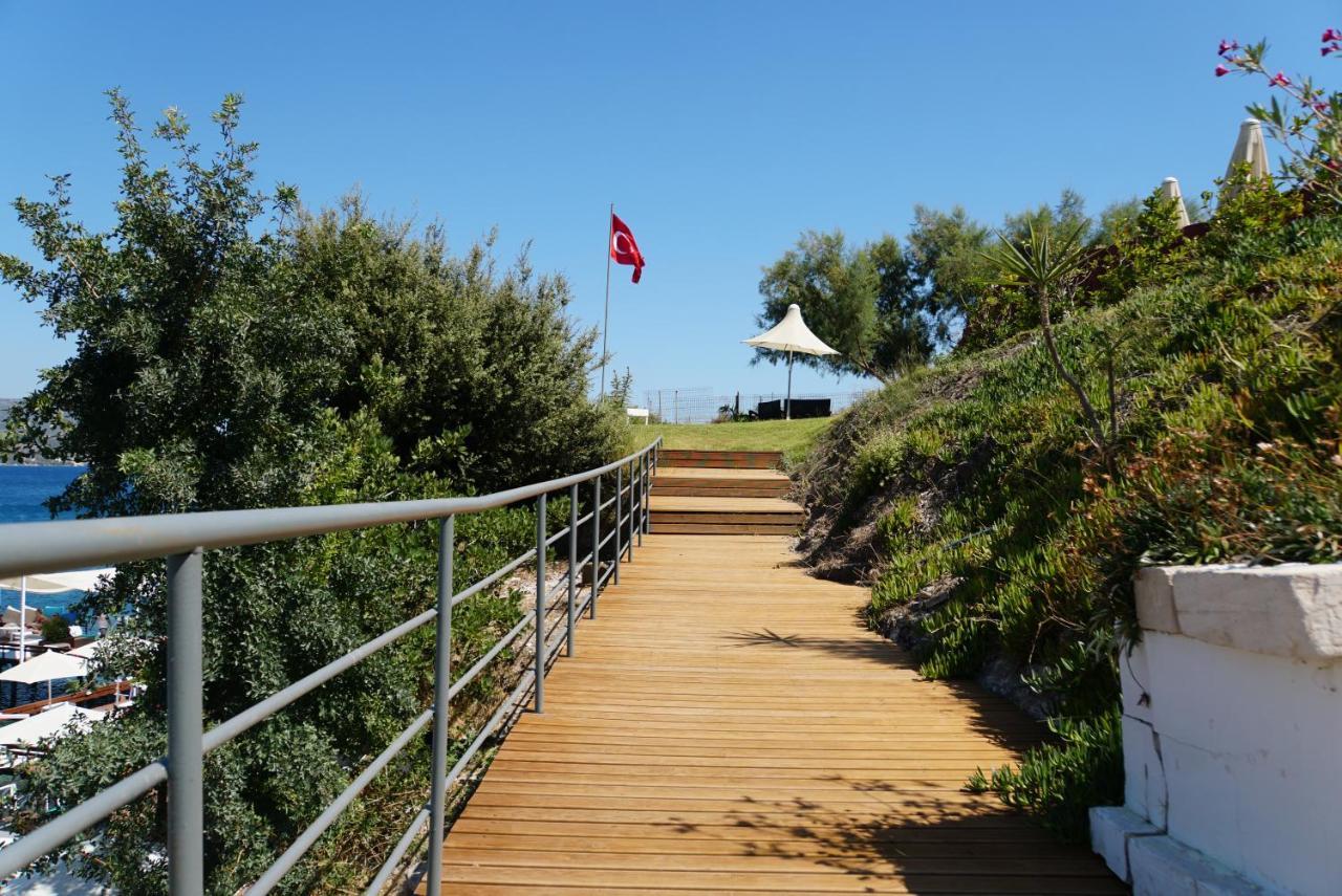 Paradise Bardakci Bodrum